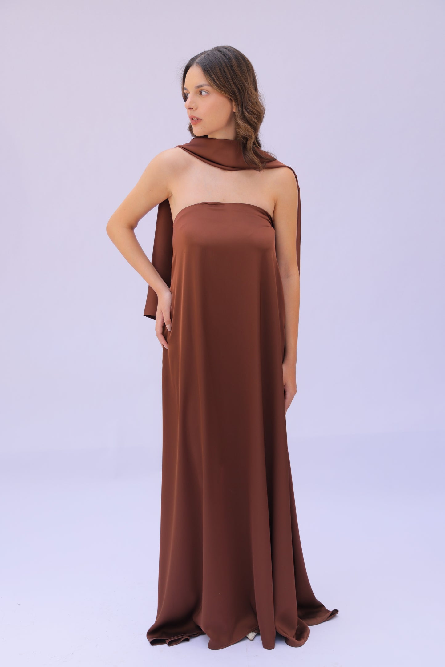 The Brown Dress